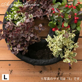 楽天市場 リース 寄せ植えの通販