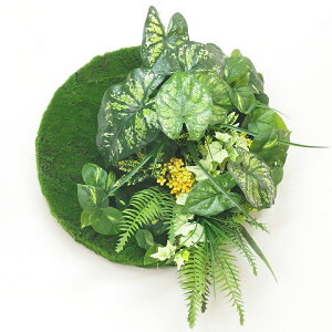 lHϗtA ǖʗΉ  Ɩp { ItBX X  tFCN O[ ^JV[ / ǖʃAW43.5cm@MT[N JW[ /^ (rco)