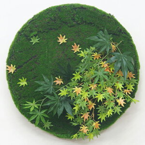 lHϗtA ǖʗΉ  Ɩp { ItBX X  tFCN O[ ^JV[ / ǖʃAW43.5cm@MT[N ~W /^ (rco)