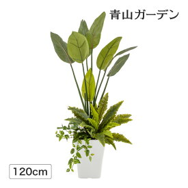 人工観葉植物 造花 業務用 施設 オフィス 店舗 装飾 フェイク グリーン リアル 飾り タカショー / ストレリチア 寄植付 1.2m /中型 (rco)