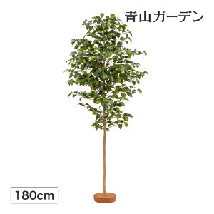 lHϗtA  a  ΂ Ɩp { ItBX X  tFCN O[ A  ^JV[ / coL  1.8m /^ (rco)