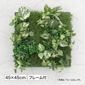 lHϗtA ǖʗΉ  Ɩp { ItBX X  tFCN O[ fBXvC ^JV[ /ǖʃAWD |gX 45×45cm t[t (lHA) /^ (rco)