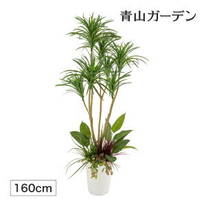 lHϗtA  Ɩp { ItBX X  tFCN O[ A  ^JV[ / hZi RVl At 1.6m /^ (rco)