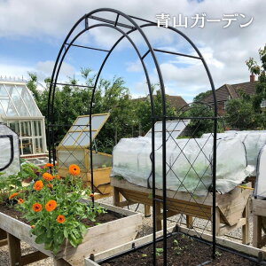 A[` o N}`X U 鐫 K[fjO  ^JV[ / xW؉A[` H140cm /^ (rco)