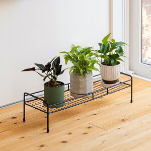 ԑ X^h  v^[X^h t[X^h K[fjO  G ^JV[ / VvvgX^h XNGA S /^ (rco)