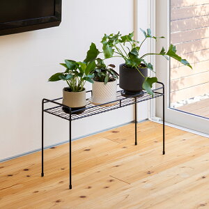 ԑ X^h  v^[X^h t[X^h K[fjO  G ^JV[ / VvvgX^h XNGA M /^ (rco)