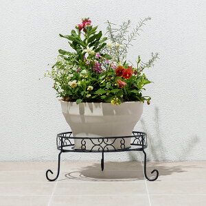 ԑ X^h  v^[X^h t[X^h K[fjO  G ^JV[ / fUCt[X^h Eh S /^ (rco)