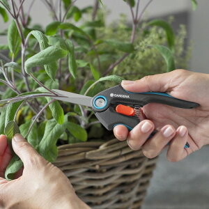 ͂  E  } GARDENA Kfi ^JV[ / Eʉ؎nnT~ FreshCut 47mm XeXn /^ (rco)