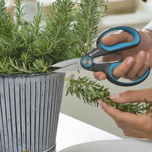 ͂  E  } GARDENA Kfi ^JV[ / n[unnT~ HerbCut 52mm XeXn /^ (rco)