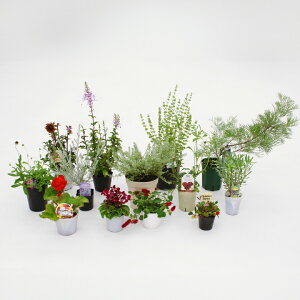 񂹐A c  ԕc / G߂̉ԕc13|bgZbg /^