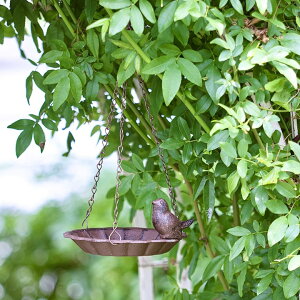  K[fjO GARDEN STORY Series ^JV[ / o[hoX nMO /^