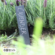 ネームプレート ガーデニング GARDEN STORY Series タカショー / プランツタグ プレート 6個セット ワッ…
