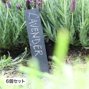 l[v[g K[fjO GARDEN STORY Series ^JV[ / vc^O v[g 6Zbg bNXyt /^