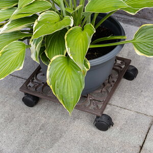 v^[ X^h  K[fjO GARDEN STORY Series ^JV[ / ACAvcg[ square /^