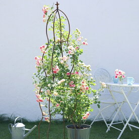 オベリスク 誘引 バラ ガーデニング GARDEN STORY Series タカショー / アンティークオベリスク ウェーブ /中型