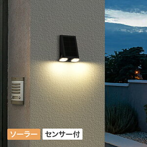 ���C�g �\�[���[ LED ���O �Z���T�[ DIY �� �K�[�f�� �^�J�V���[ / ExLights �\�[���[�E�H�[�����C�g Mantis /���^