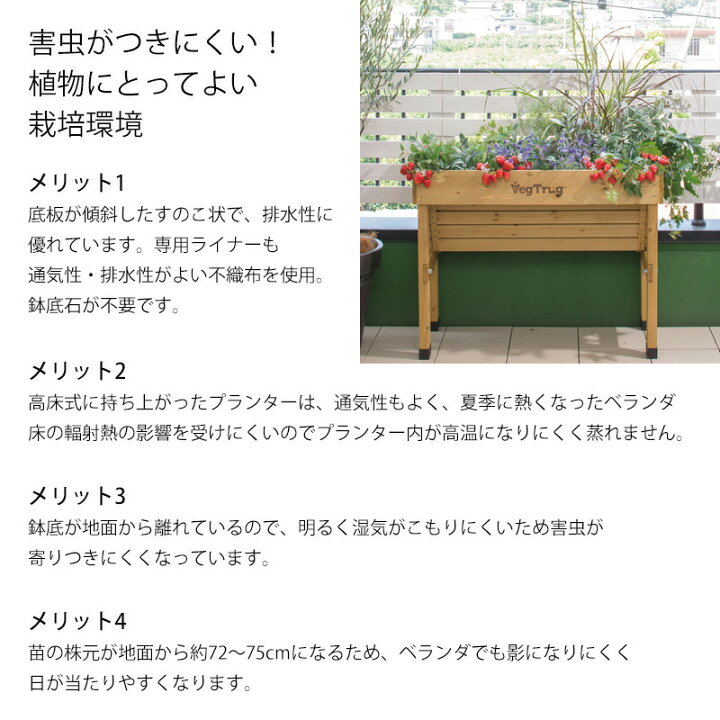 楽天市場 鉢 プランター ベジトラグ 菜園 スタンド 木製 ガーデニング タカショー ホームベジトラグ ウォールハガー S ナチュラル グレイウォッシュ B 青山ガーデン