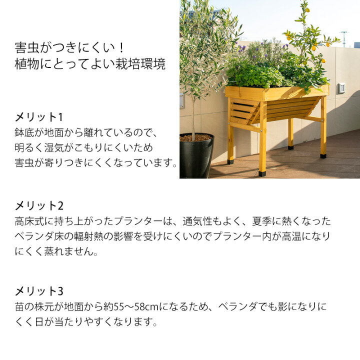 楽天市場】ランキング1位 家庭菜園 プランター ベジトラグ 菜園 