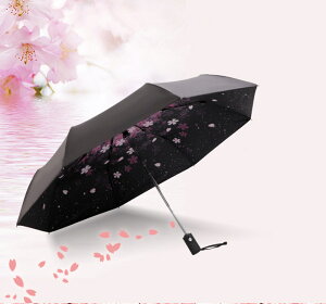 P  ࣖ ܂肽ݎP J ~J aP a   ϕ  8{ 3i Jp ՔM Ռ fB[X y 킢  UV΍ P SՌ RpNg 