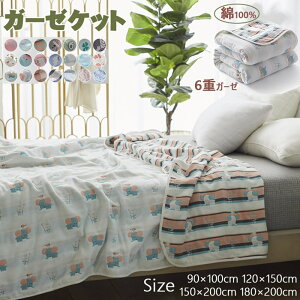 K[[Pbg xr[ 6dK[[Pbg VO 100 uPbg ɗD K[[Pbg Y v[g ^IPbg K[[ Q G| y Ђ ڐG⊴ I[V[Y 