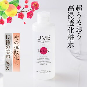 En_Ih SIZUKUiVYNj ~鍂ێ ϐ R hN^[YRX