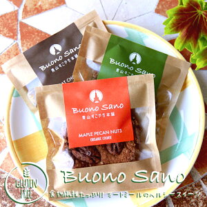 yP5{zr[eŃv[g@Oet[ L@NbL[ Buono Sano (uH[mT[m) ăwV[Iyzyzy܂zyizyۑzysgpz@N