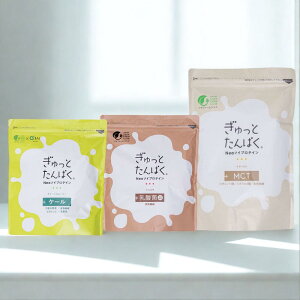 y|Cg5{zyƂς veCzO[X[W[ P[ VR A_500 i`\C MCT b_ \t@[Nu veC  _CGbg G