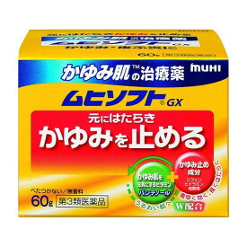 【第3類医薬品】(株)池田模範堂 かゆみ肌の治療薬 ムヒソフトGX 60g