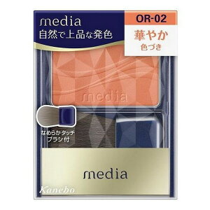 (��)�J�l�{�E���ϕi media ���f�B�A �u���C�g�A�b�v�`�[�NS OR-02 2.8g