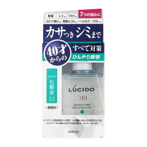 s}_t V[h(LUCIDO) p g[^PAЂ艻ϐ 110ml y򕔊Oiz