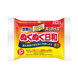 《興和》 ホッカイロ ぬくぬく日和 貼るタイプ ミニ 10個入り