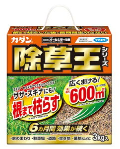 st}L[tJ_V[YI[L[(3kg)