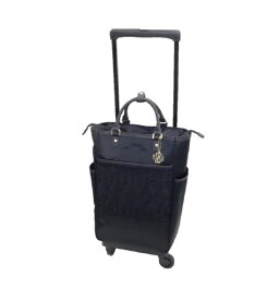 SWANY スワニーバッグ（キャリーバッグ・ショッピングカート）　D-595L21　近沢レース店コラボモデル　ノワール(B4収納サイズ）（4輪ストッパー付き）T2キャスター