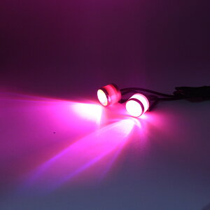 NEW Xg{Cg oCN 12v tbV oCNp  ԗp LED u v \v ق郉v fCCg C[OAC X|bgCg io[ Xg{
