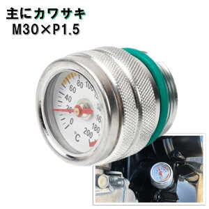  v ICev[^[ M30×P1.5 [t@[400 [t@[750 [t@[1100 ZRX400 ZRX1100 ZRX1200 oIX CpX Z1 Z2 GS400 Z400FX GPZ400 Z1 Z2 Z1R Z900LTD Z1000Mk Z750FX Z750RS Z900RS Z1100R KZ1000 Z1000LTD Z100