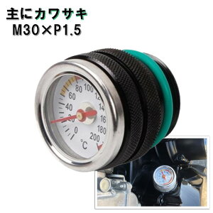  v ICev[^[ M30×P1.5 [t@[400 [t@[750 [t@[1100 ZRX400 ZRX1100 ZRX1200 oIX CpX Z1 Z2 GS400 Z400FX GPZ400 Z1 Z2 Z1R Z900LTD Z1000Mk Z750FX Z750RS Z900RS Z1100R KZ1000 Z1000LTD Z100