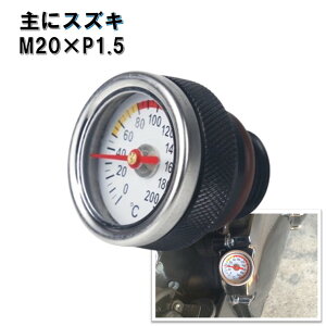  v M20×P1.5 ICev[^[ CiY}400 CpX400 TypeS OXgbJ[ OfBEX400 ofBbg CiY}1200 TS200R WOLF200 WOLF250 Cg[_[NVbN400 GSX-R600 GSX-R