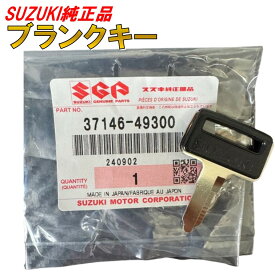 49300 スズキ ブランクキー A206 純正 GSX750S GSX750F GSX1100S GS400 GT380 550 750 GN125 TS185R TS250 スペアキー 鍵 キー 純正品 正規品 37146-49300