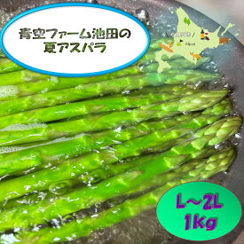【2025年7月発送】青空ファーム池田 夏の青空アスパラ1kg送料無料 贈答品 お中元 ギフト 産地直送 早朝収穫 ハウス栽培 北海道アスパラ グリーンアスパラガス ゼンユウガリバー