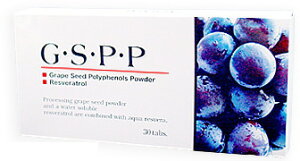 GESEPEP@30@1@yK̔XzuhEq GSPP uhEqyzyP20zyT8zySQz