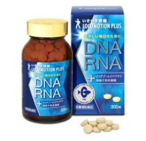 j_ R[VvX 300 3Zbg GEGXR[|[V DNA RNA yT8zySQzykz