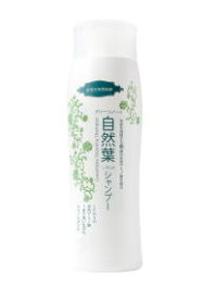 グリーンノート 自然葉シャンプー 300ml　3本セット 【T10】【P10】【SQ】【北沖】