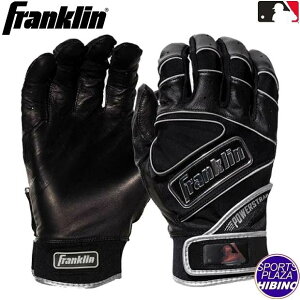 ylR|XOKztN(Franklin) 싅 POWERSTRAP CHROME p[Xgbv N obeBOO[u p  ubN 20490