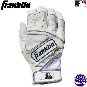 ylR|XOKztN(Franklin) 싅 POWERSTRAP CHROME p[Xgbv N obeBOO[u p  zCg 20491