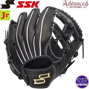 GXGXPC(ssk) N싅 vGbWAh@XhV[Y -BTYPE- I[Ehp (24aw) Ou O[u ubN AJB2-90