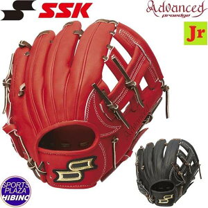 GXGXPC(ssk) N싅 vGbWAh@Xh -SS^Cv- I[Ehp (24ss) Ou O[u BIW×uE/ubN×uE AJSS324-3240/9040