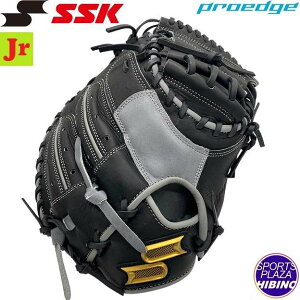 GXGXPC(ssk) N싅 vGbWyߎpFI胂fz(24ss) Ou O[u WjA ubN×O[ PEJMM2231-9093