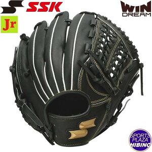 GXGXPC(ssk) N싅 ECh[ I[Ehp (24ss) Ou O[u WjA ubN WJG424-90