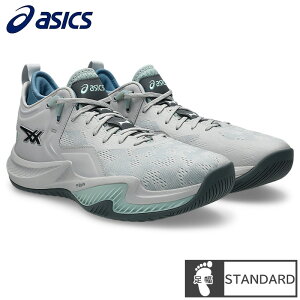 �A�V�b�N�X(asics) �o�X�P�b�g�{�[���V���[�Y NOVA SURGE LOW 2 �m�o�T�[�W �V���[�Y (26ss) �O���[/�O���[ 1061A051-020