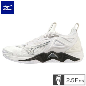 ~Ym(mizuno) o[{[V[Y WAVE MOMENTUM 3 EG[u[^ V[Y (23aw) MIZUNO ENERZY zCg×O[×ubN V1GA231251